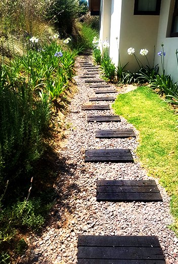 camino-de-madera