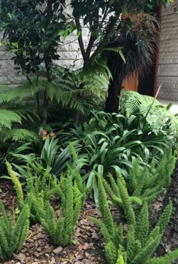 GardenFotosV (5)
