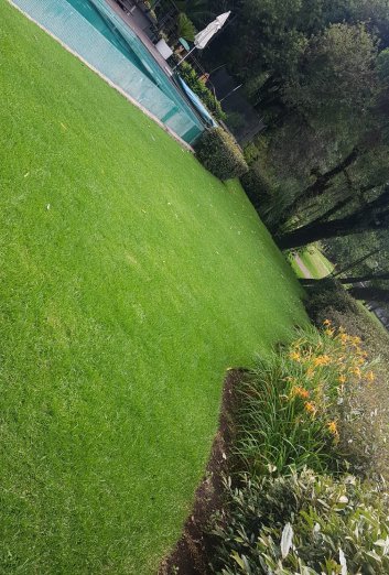 GardenFotosV (9)